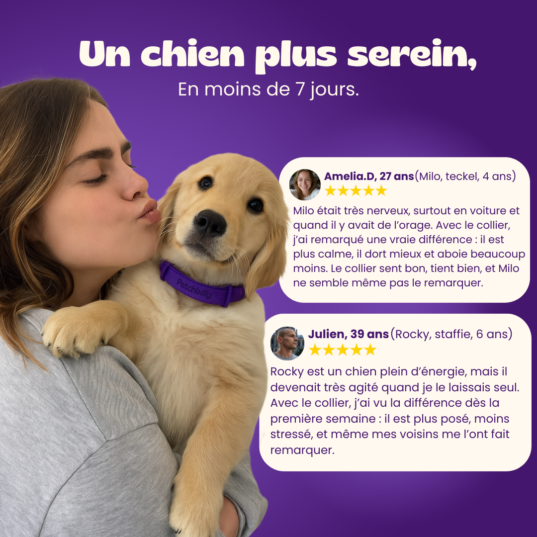 Petchooly | 3 Colliers Anti-Stress