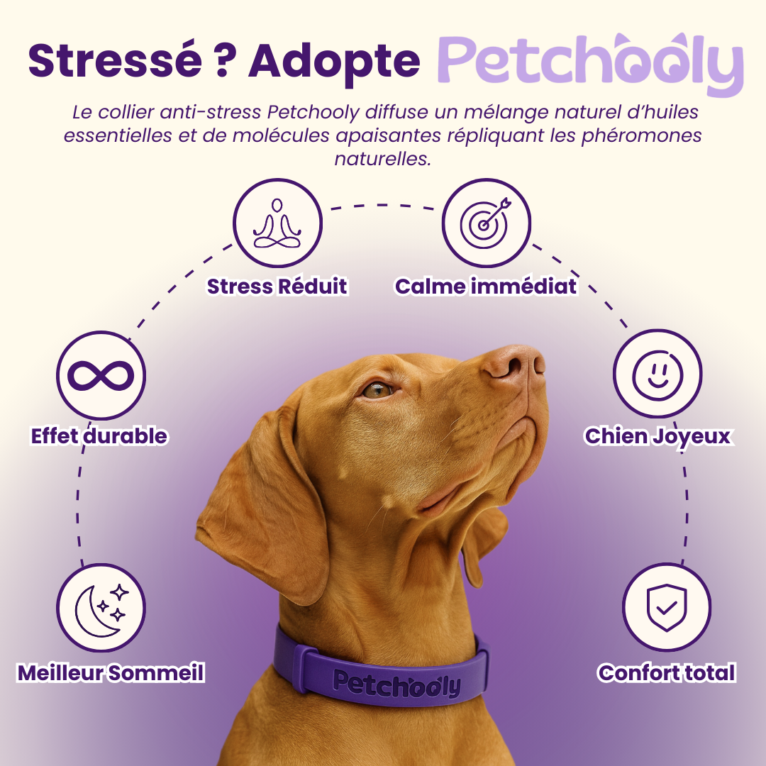 Petchooly | 3 Colliers Anti-Stress