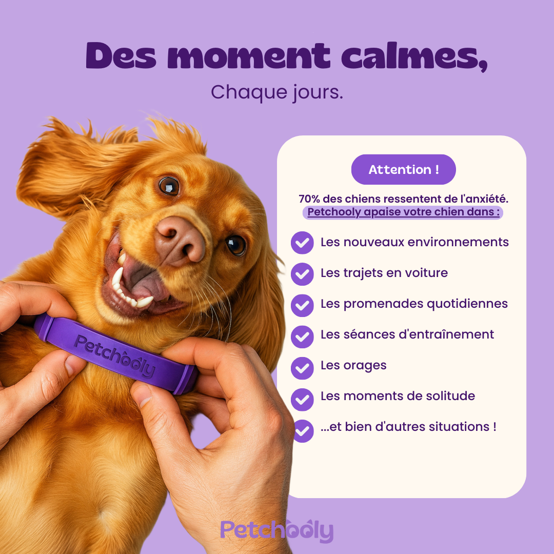 Petchooly | 3 Colliers Anti-Stress