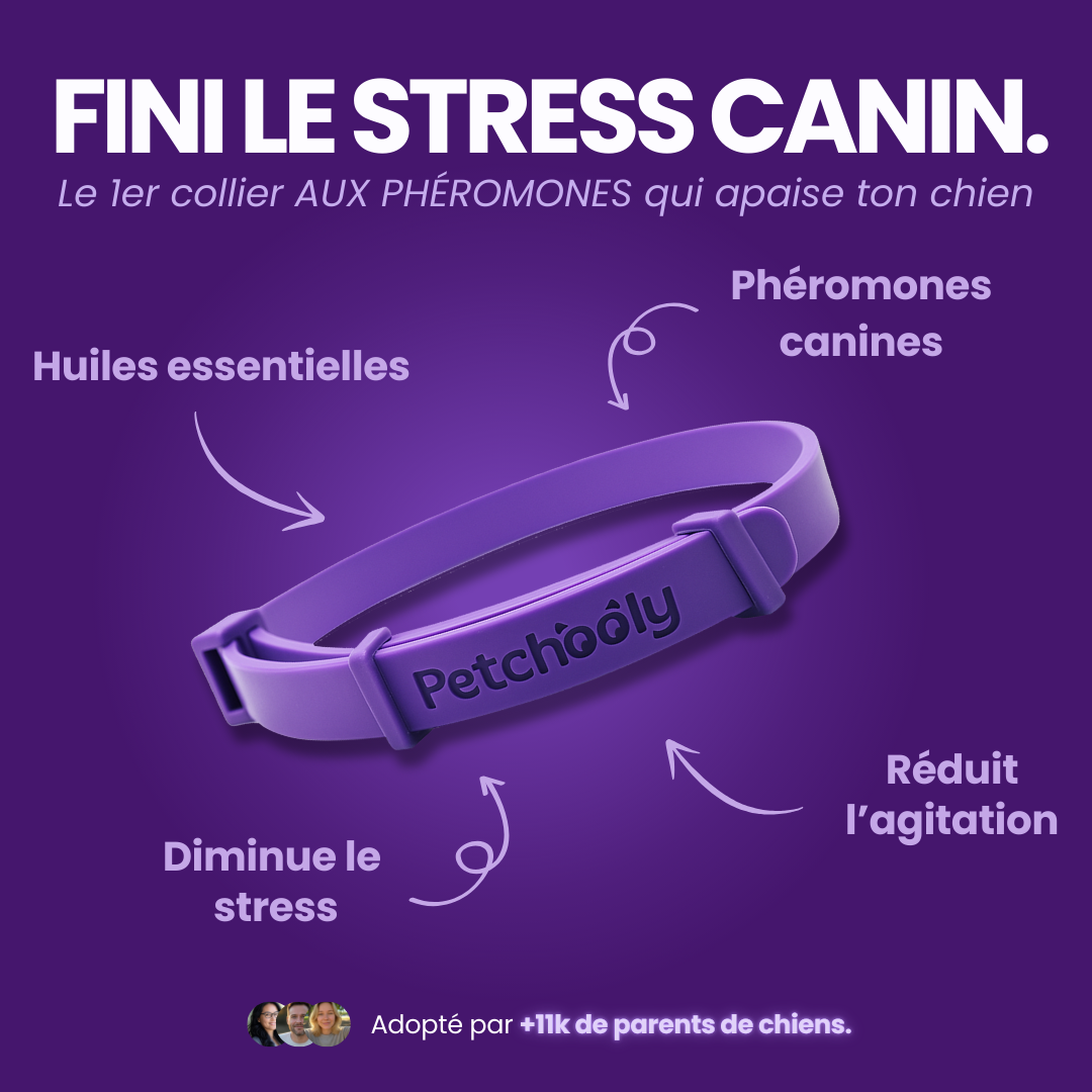 Petchooly | 3 Colliers Anti-Stress