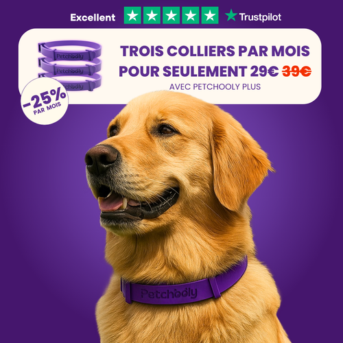 Petchooly | 3 Colliers Anti-Stress